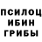 Псилоцибиновые грибы Psilocybe Ulan KG