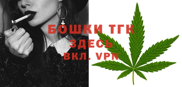 тгк Новодвинск