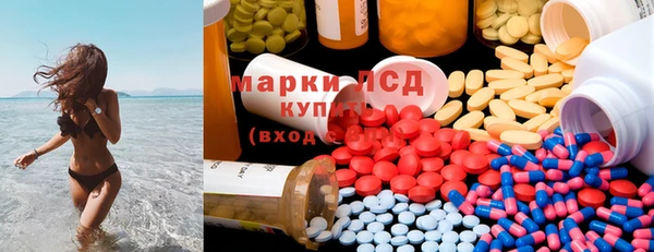 тгк Новодвинск