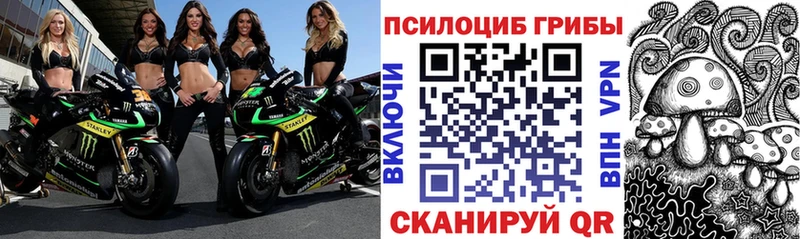 Купить  Ессентукская  Псилоцибиновые грибы GOLDEN TEACHER 